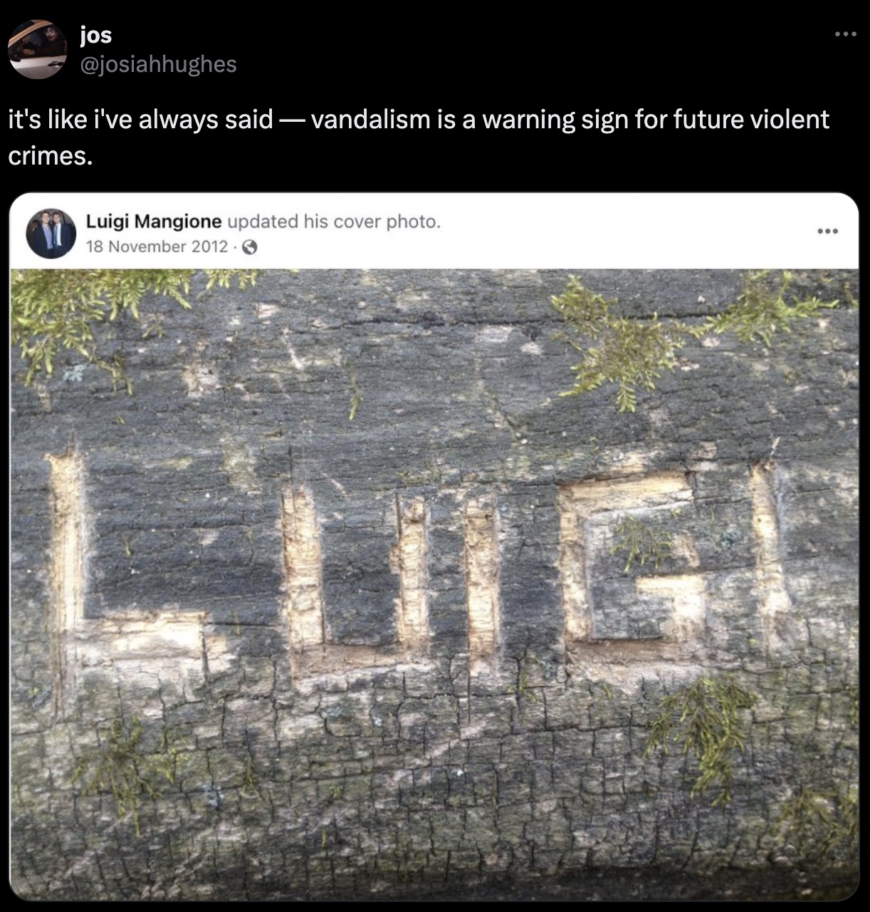 screenshot - jos it's i've always said vandalism is a warning sign for future violent crimes. Luigi Mangione updated his cover photo. . Luige